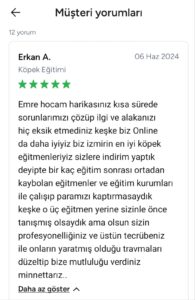 S.I.R K9 Köpek Akademisi: Eğitimde Güven ve Etkinlik Bir Arada