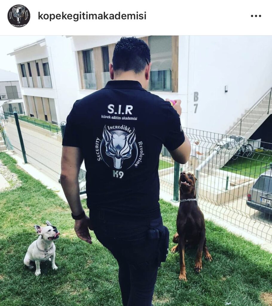 S.I.R K9 Köpek Akademisi: Eğitimde Güven ve Etkinlik Bir Arada